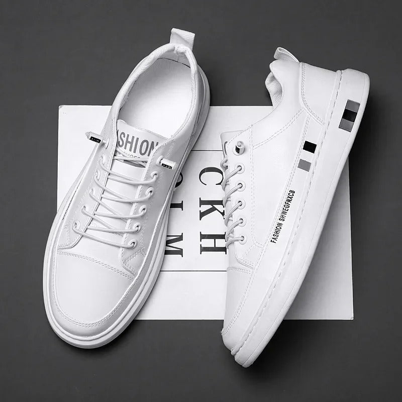gid://shopify/MediaImage/41238630596897