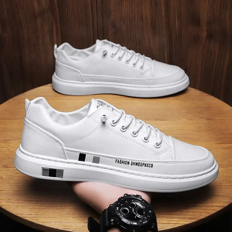 gid://shopify/MediaImage/41238630629665