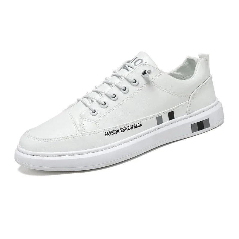 gid://shopify/MediaImage/41238630760737